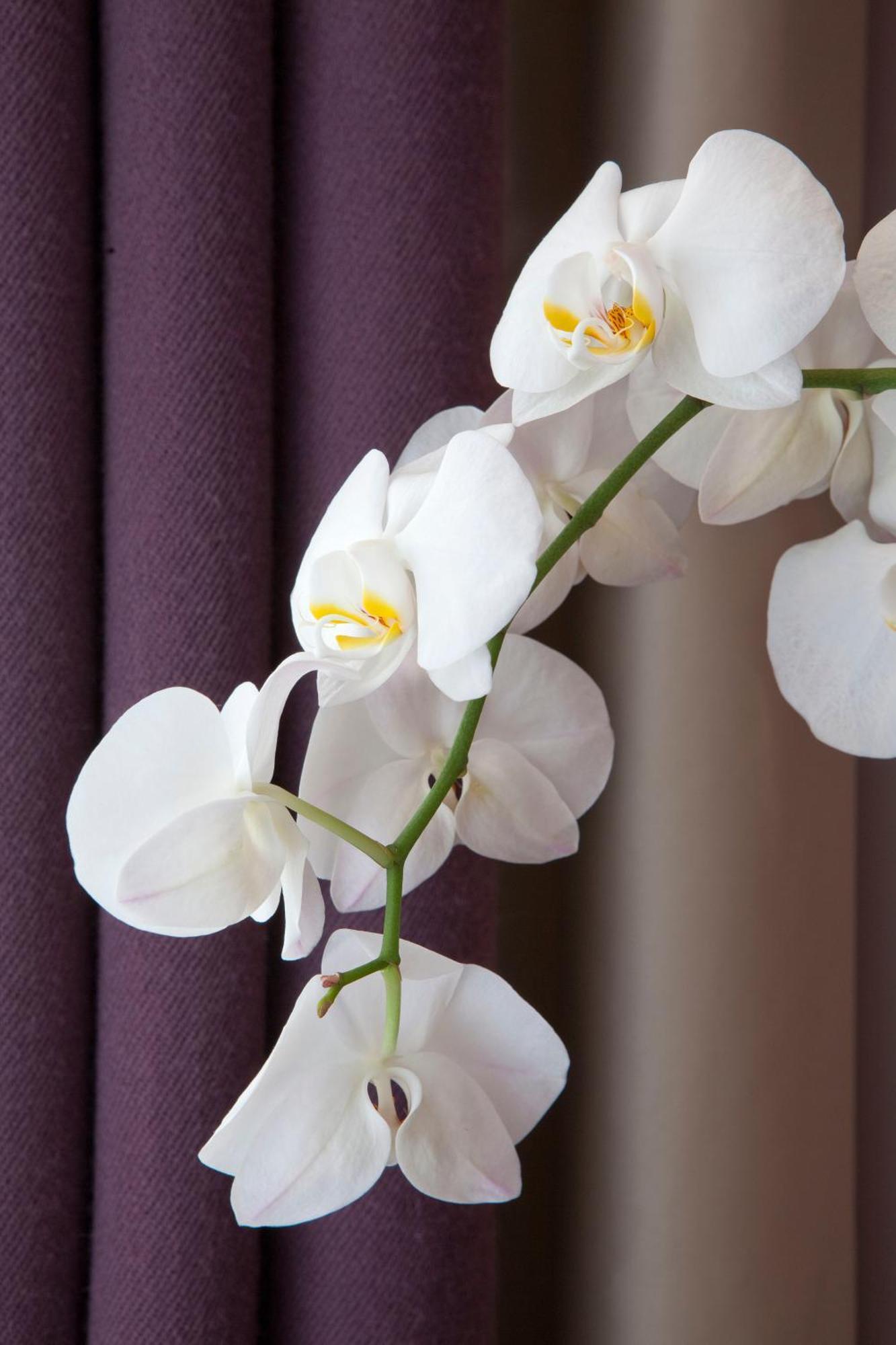 Hotel Duret Paris Champs Elysees Экстерьер фото